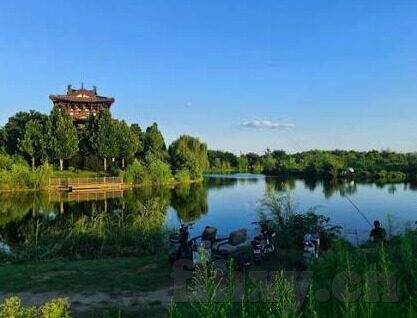 成人免费视频下载-与网络伦理，理性探讨免费视频下载的边界