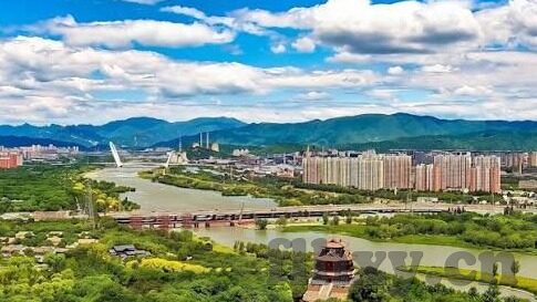 久久av麻豆-光影流转的艺术，久久AV麻豆的幕后与影响