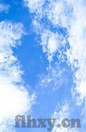 久久久精品人妻一区二区三区四-探索多元视角下的生活美学——从久久久精品的分区谈起