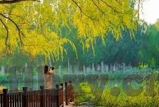 科普一下糖心vlog官网-科普糖心Vlog官网，了解网络视频平台的新窗口