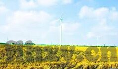 日韩岛国av在线播放-日韩岛国文化与影视探索，多元视角下的文化交流与影响